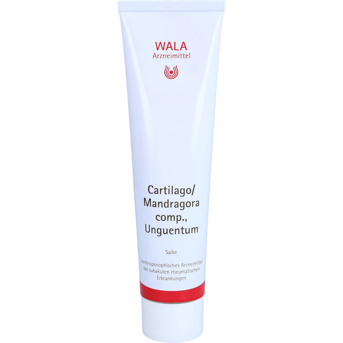 WALA Cartilago / Mandragora comp. Unguentum Salbe, 100 g Salbe