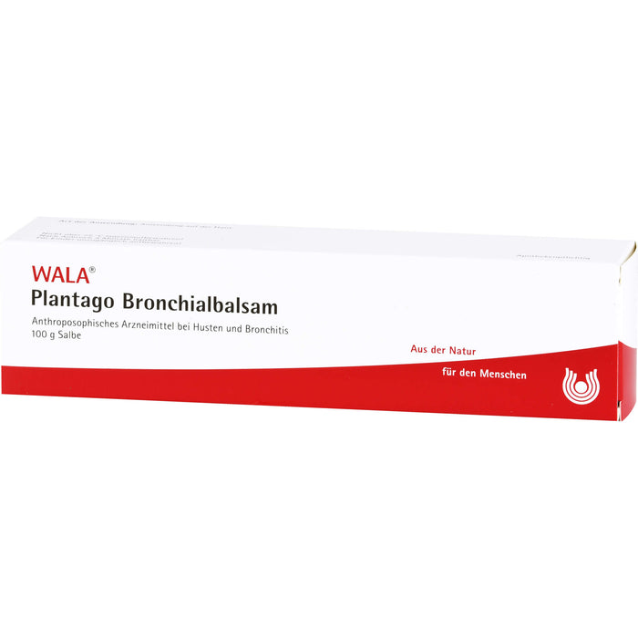 WALA Plantago Bronchialbalsam bei Husten und Bronchitis, 100 g Salbe