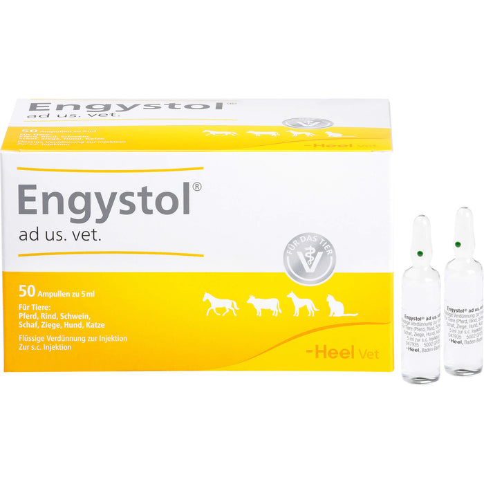 Engystol ad us. vet. Ampullen, 50 pcs. Ampoules