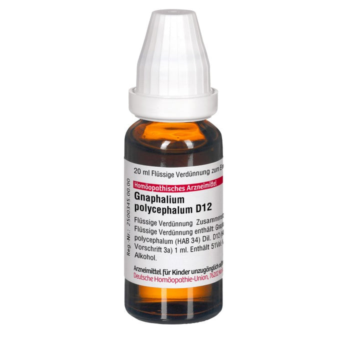 DHU Gnaphalium polycephalum D12 Dilution, 20 ml Lösung