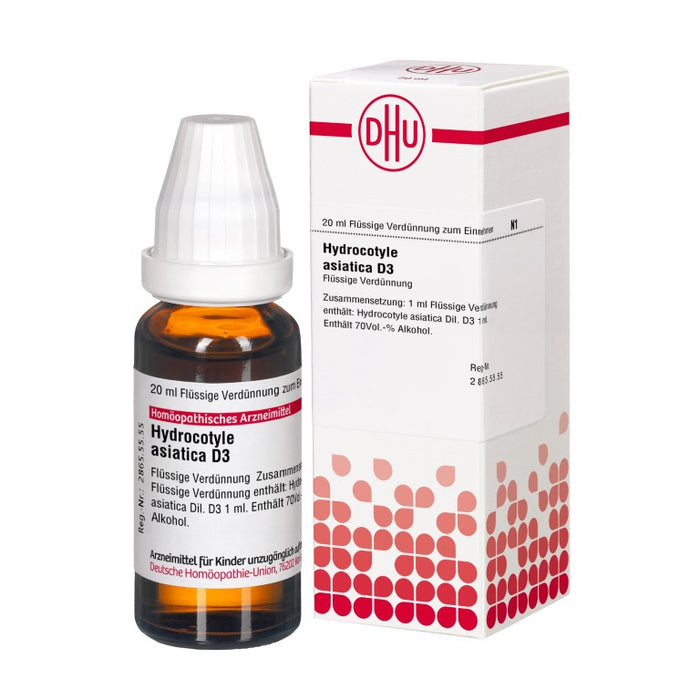 Hydrocotyle asiatica D3 DHU Dilution, 20 ml Lösung