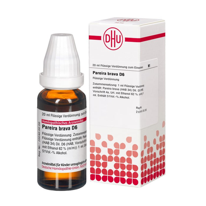 DHU Pareira brava D6 Dilution, 20 ml Lösung