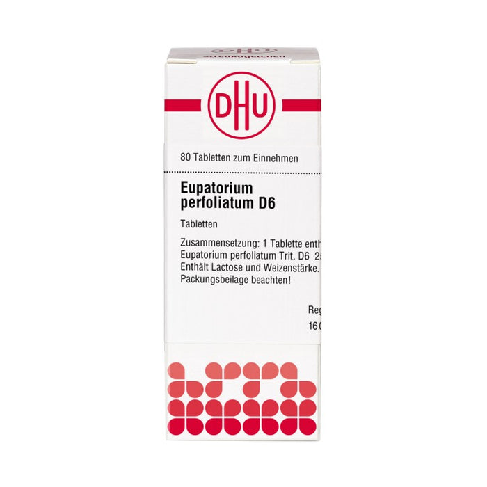 DHU Eupatorium perfoliatum D 6 Tabletten, 80 St. Tabletten