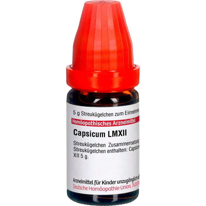 DHU Capsicum LM XII Streukügelchen, 5 g Globules