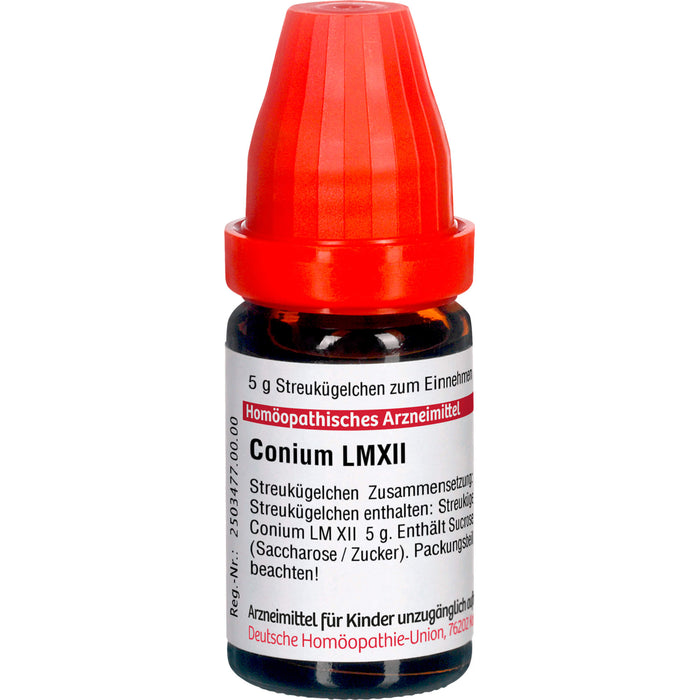 Conium LM XII DHU Globuli, 5 g Globuli