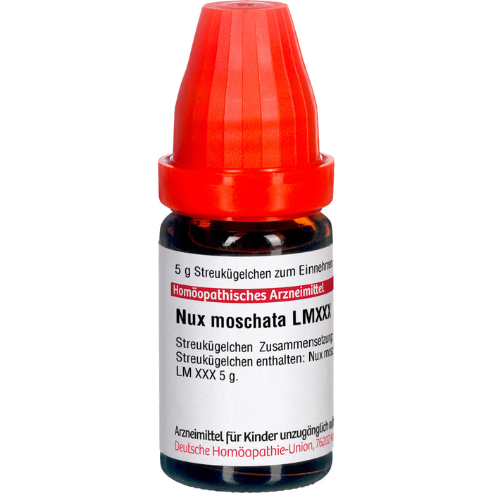 Nux moschata LM XXX DHU Globuli, 5 g Globuli