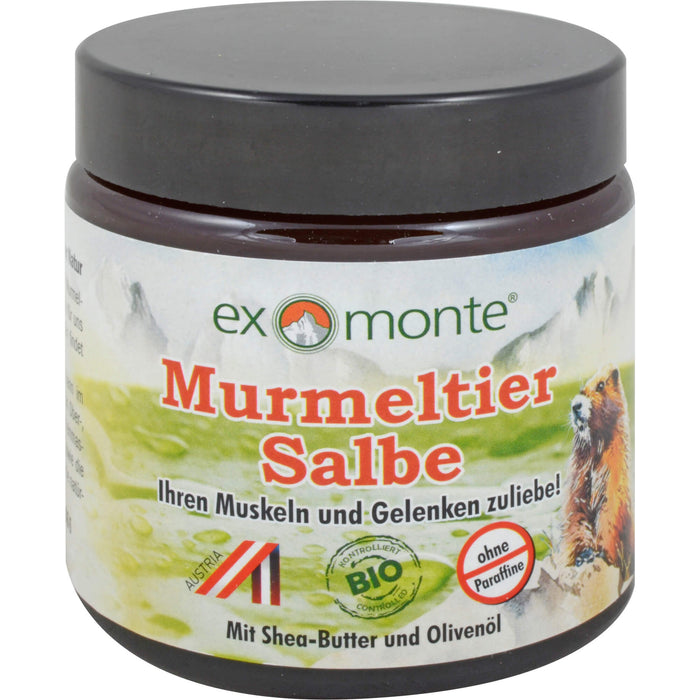 exmonte Murmeltiersalbe, 100 ml Ointment