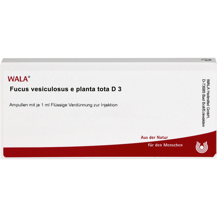 WALA Fucus vesiculosus e planta tota D3 flüssige Verdünnung, 10 pcs. Ampoules