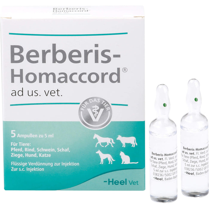 Berberis-Homaccord ad us. vet. Ampullen, 5 St. Ampullen