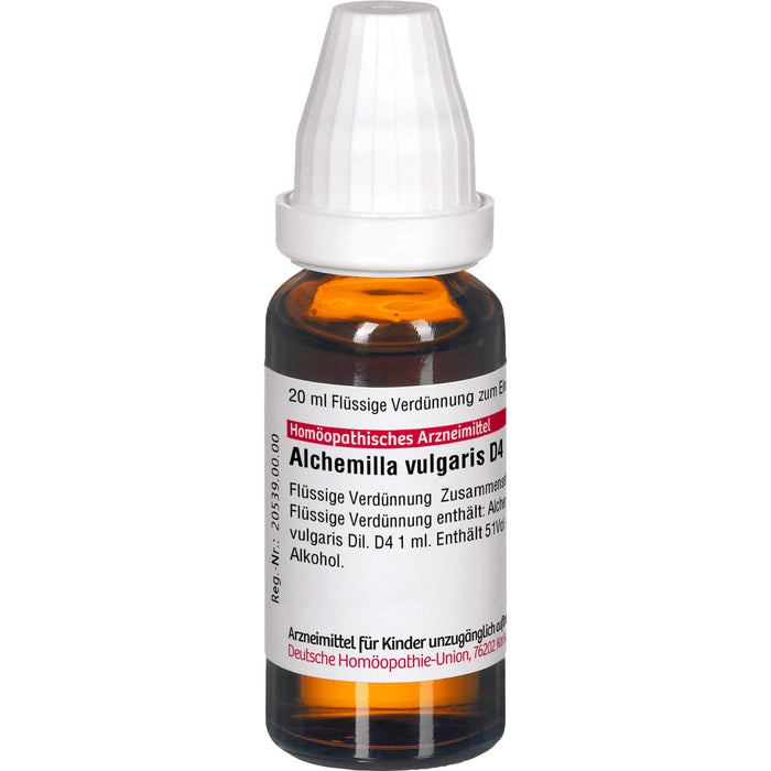 Alchemilla vulgaris D4 DHU Dilution, 20 ml Lösung