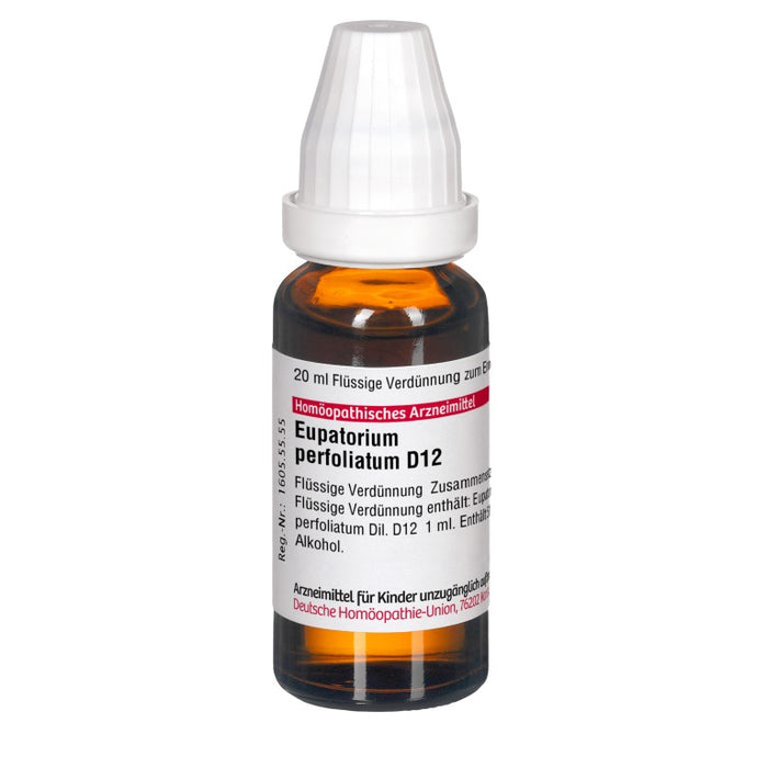 DHU Eupatorium perfoliatum D12 Dilution, 20 ml Lösung