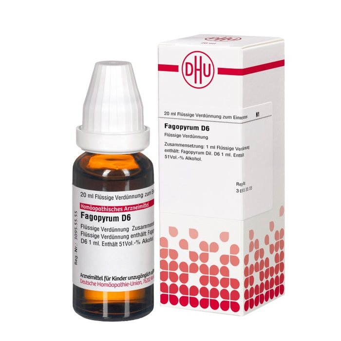 Fagopyrum D6 DHU Dilution, 20 ml Lösung