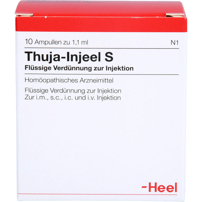 Thuja-Injeel S flüssige Verdünnung, 10 St. Ampullen