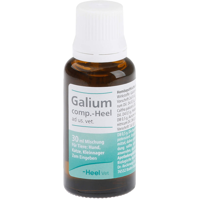 Galium comp.-Heel ad us. vet. Tropfen, 30 ml Solution