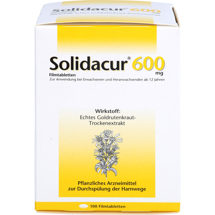 Solidacur 600 mg Filmtabletten zur Durchspülung der Harnwege, 100 pc Tablettes