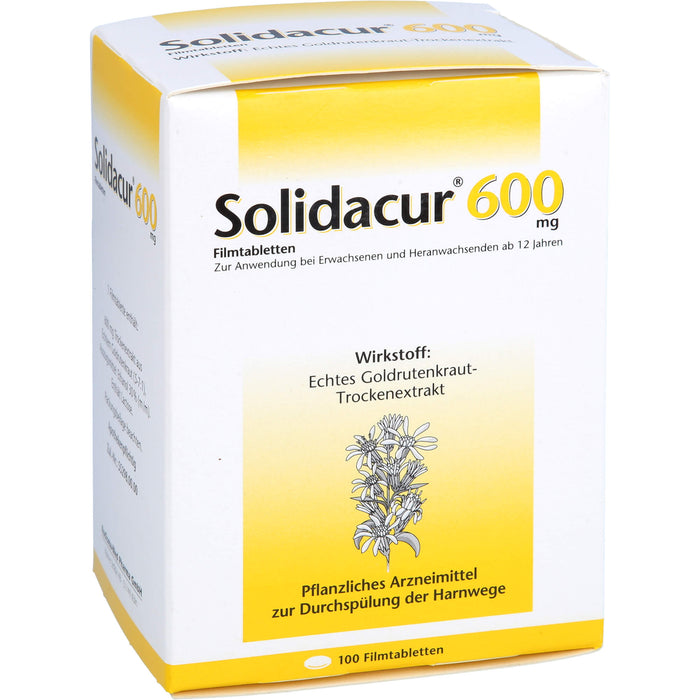 Solidacur 600 mg Filmtabletten zur Durchspülung der Harnwege, 100 pc Tablettes