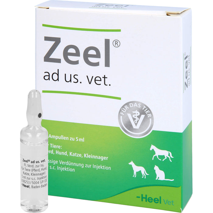 Zeel ad us. vet. Ampullen Flüssige Verdünnung zur Injektion, 5 ml Solution