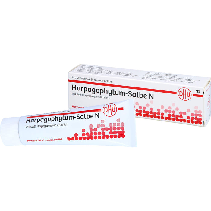 DHU Harpagophytum Salbe N, 50 g Ointment