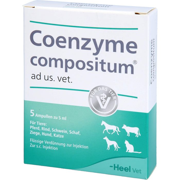 Heel Coenzyme compositum ad us. vet. Ampullen, 5 St. Ampullen