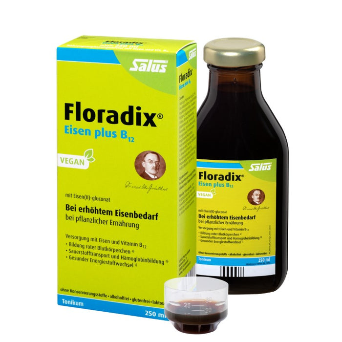 Floradix Eisen plus B12 vegan Tonikum bei erhöhtem Eisenbedarf, 250 ml Solution