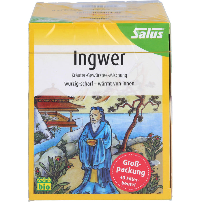 Ingwer Kräuter-Gewürztee-Mischung bio Salus, 40 St FBE