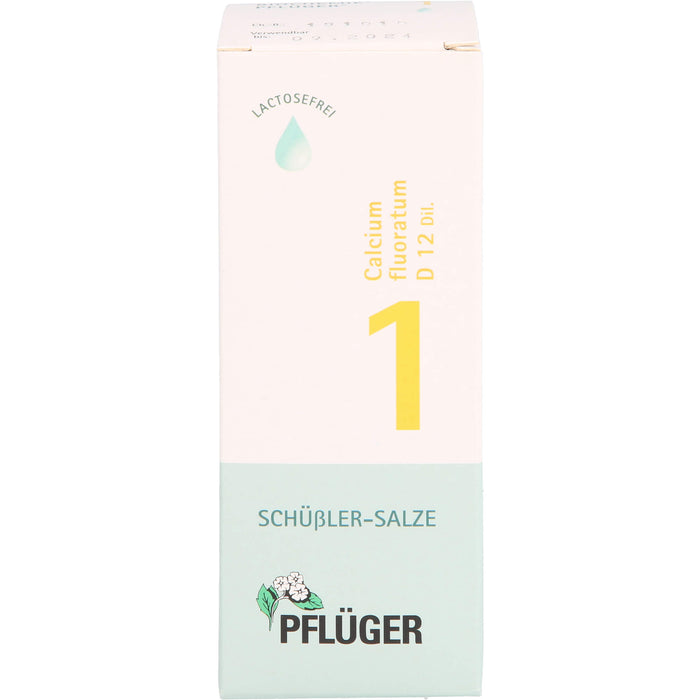 Biochemie Nr.1 Calcium fluoratum D12 Pflüger Dil., 100 ml TRO