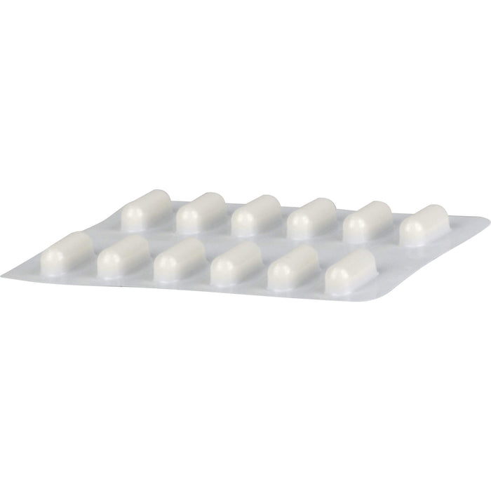 Silomat DMP Intensiv Hartkapseln gegen Reizhusten, 12 pcs. Capsules