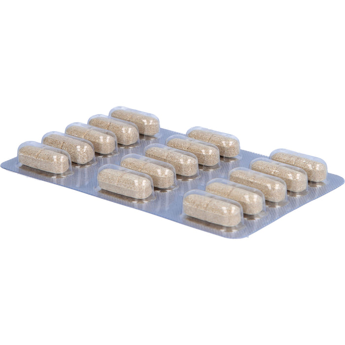 Sanagast Laves Tabletten, 30 pc Tablettes