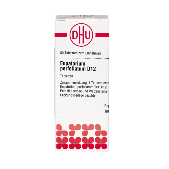 DHU Eupatorium perfoliatum D12 Tabletten, 80 pcs. Tablets