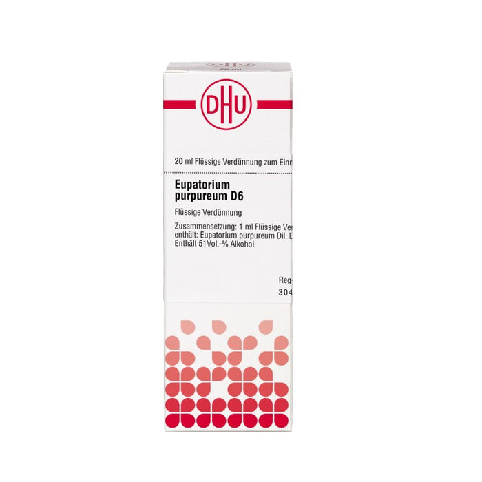 Eupatorium purpureum D6 DHU Dilution, 20 ml Lösung