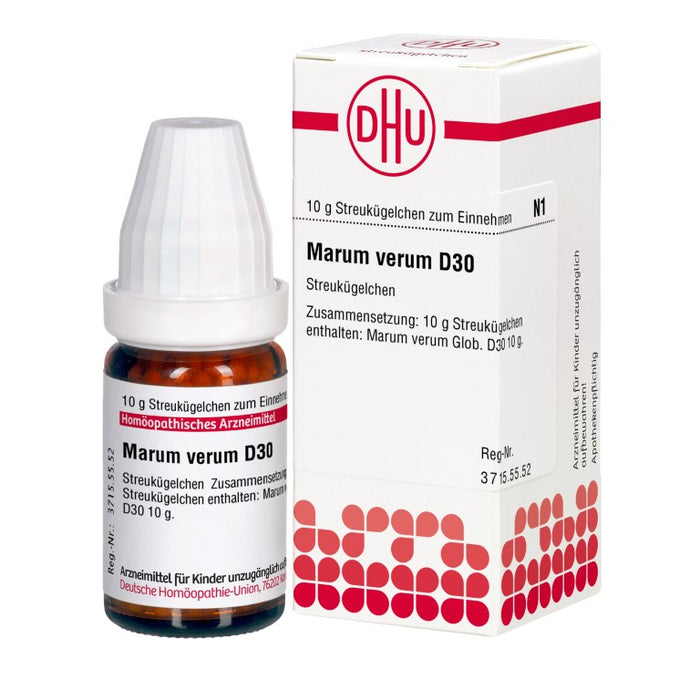 Marum verum D30 DHU Globuli, 10 g Globuli