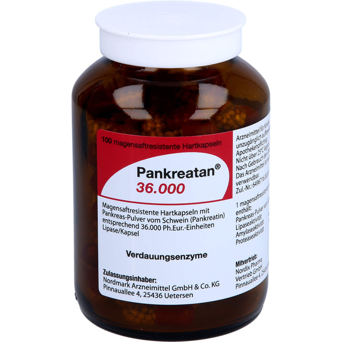 Pankreatan 36.000, Magensaftresistente Hartkapseln, 100 St. Kapseln