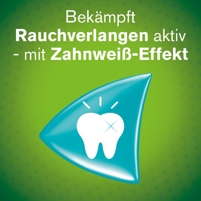 nicorette 2 mg whitemint Kaugummi für Raucher, 105 pc Gomme à mâcher