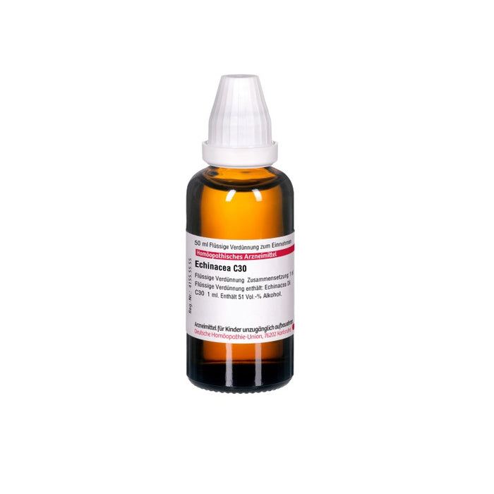 DHU Echinacea C30 Dilution, 50 ml Lösung