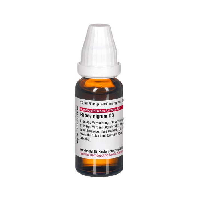 Ribes nigrum D3 DHU Dilution, 20 ml Lösung