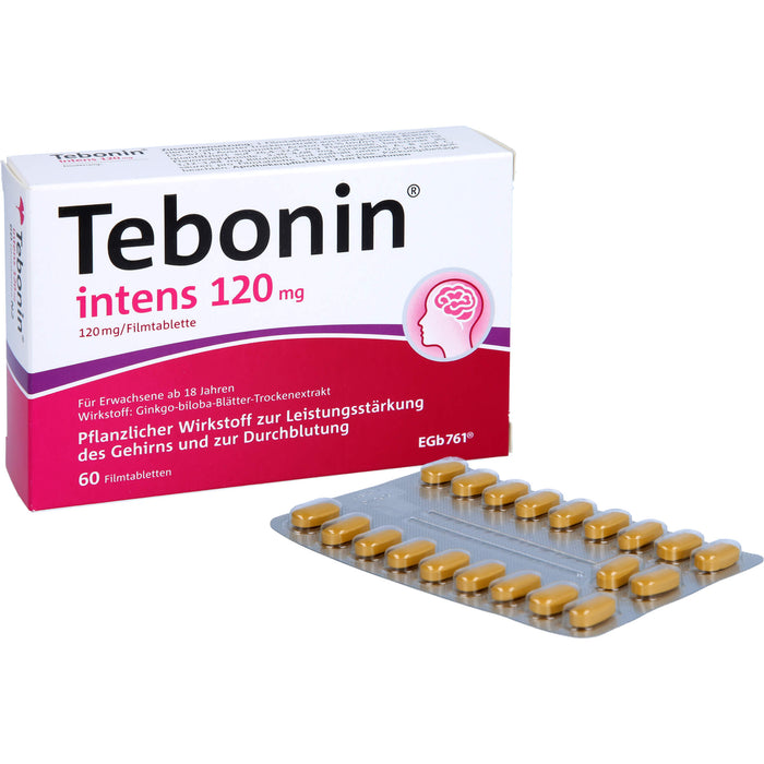 Tebonin intens 120 mg Filmtabletten zur Leistungsstärkung des Gehirns und zur Durchblutung, 60 pc Tablettes