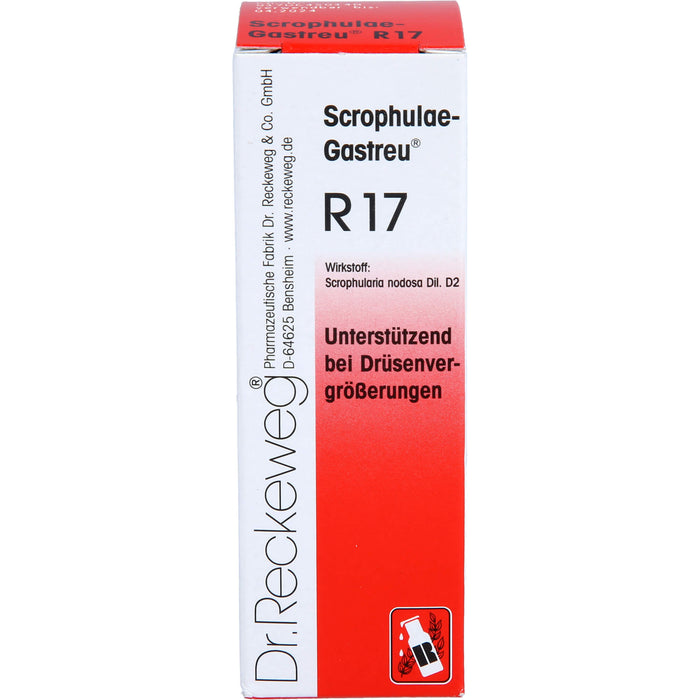 Scrophulae-Gastreu R17 Tropf., 22 ml MIS