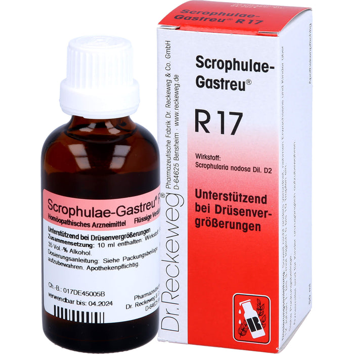 Scrophulae-Gastreu R17 Tropf., 50 ml MIS