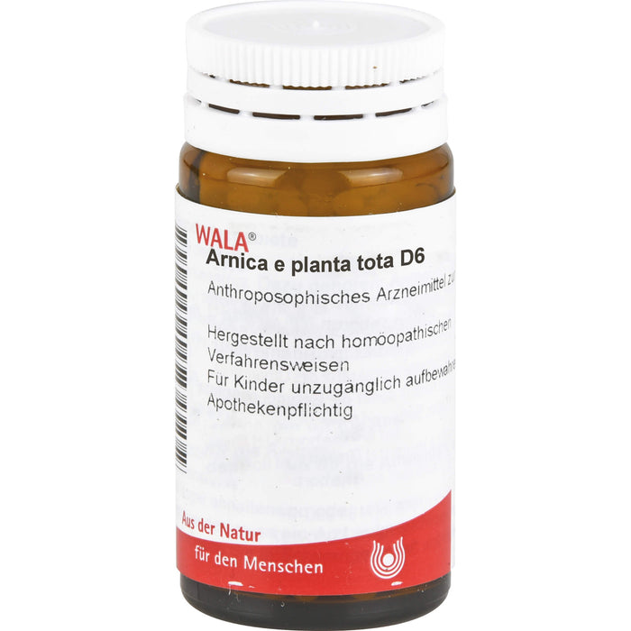 WALA Arnica e planta tota D6 Globuli velati, 20 g Globuli