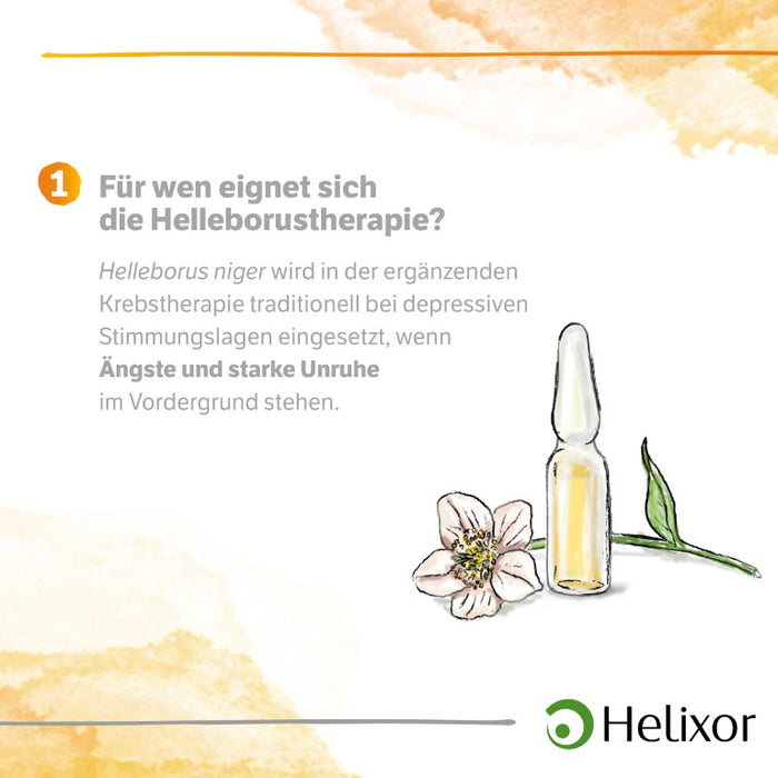 Helleborus niger D 20 aquos., 50 pcs. Ampoules