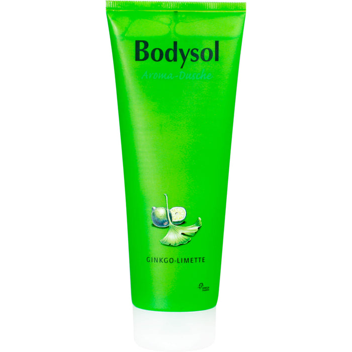 Bodysol Aroma-Duschgel Ginkgo-Limette, 250 ml Gel