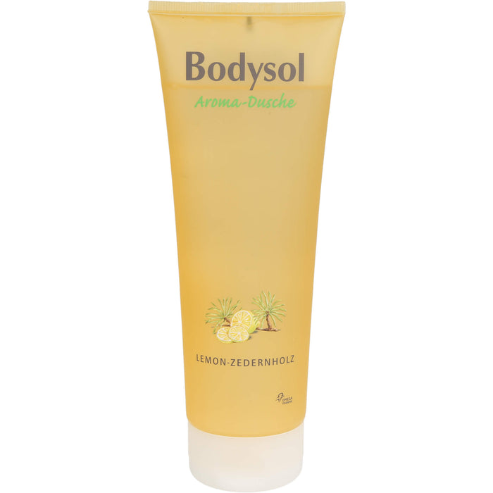 Bodysol Aroma-Dusche Duschgel Lemon-Zedernholz, 250 ml Gel