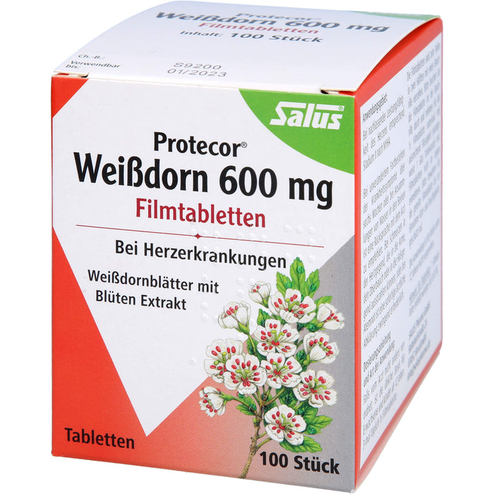 Protecor Weissdorn 600mg Filmtbl., 100 St. Tabletten