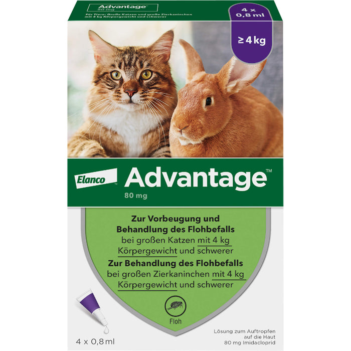 Advantage 80 mg für Katzen und Zierkaninchen über 4 kg Lösung, 3.2 ml Lösung