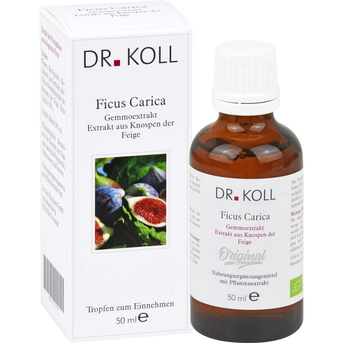 DR. KOLL Ficus Carica Gemmoextrakt Tropfen, 50 ml Solution