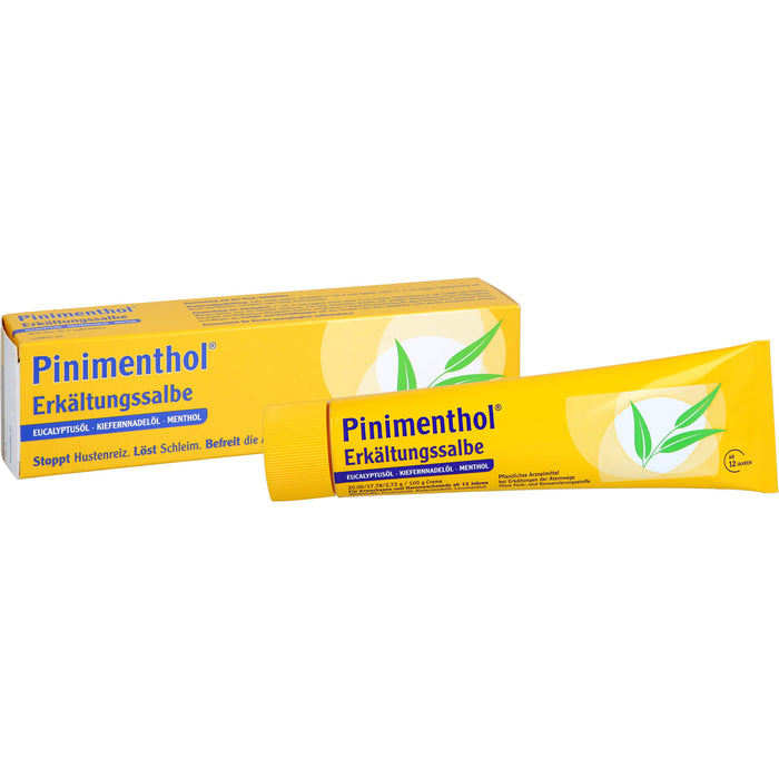 Pinimenthol Erkältungssalbe, 100 g Creme