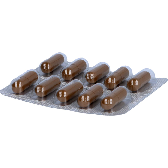 ORIFARM Essentiale Kapseln 300 mg, 250 pcs. Capsules