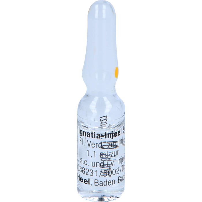 Heel Ignatia-Injeel S flüssige Verdünnung, 10 pcs. Ampoules