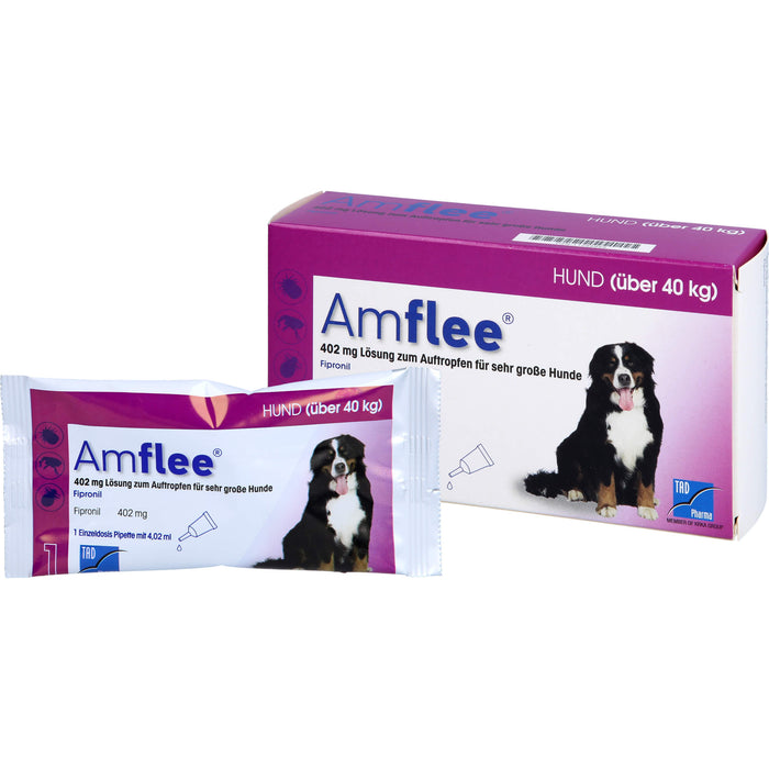 Amflee 402 mg Lösung zum Auftropfen für Hunde über 40 kg, 3 St. Ampullen