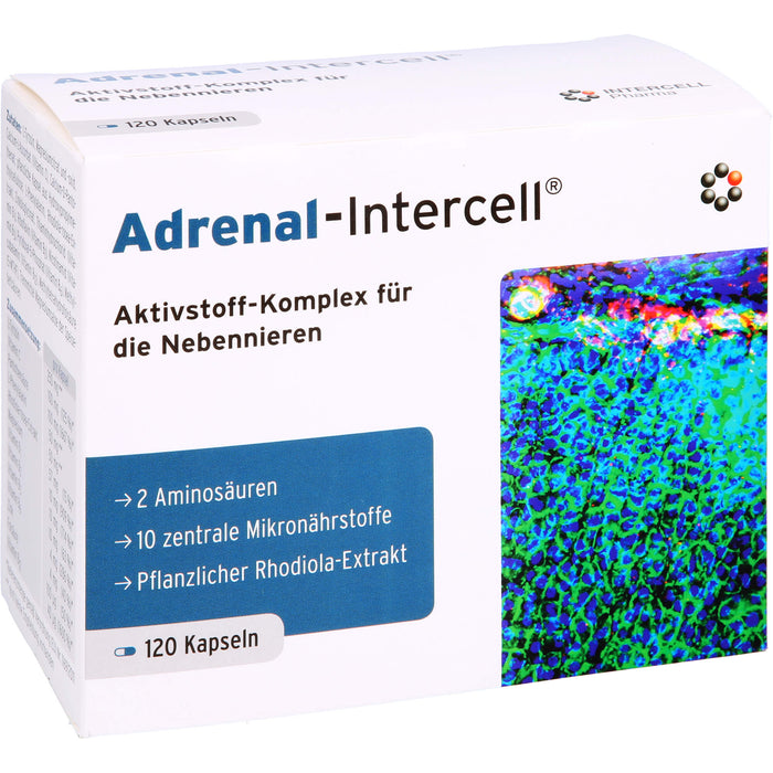 Adrenal-Intercell Aktiv-Komplex für die Nebennieren Kapseln, 120 pc Capsules